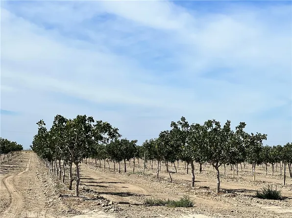 25999 W Whitesbridge Ave, Kerman, CA 93630