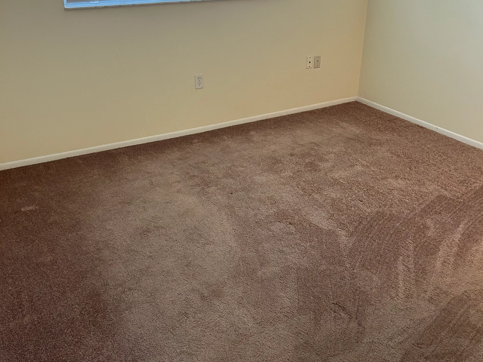 2 bed, 900 sqft, $1,480 — Photo 3