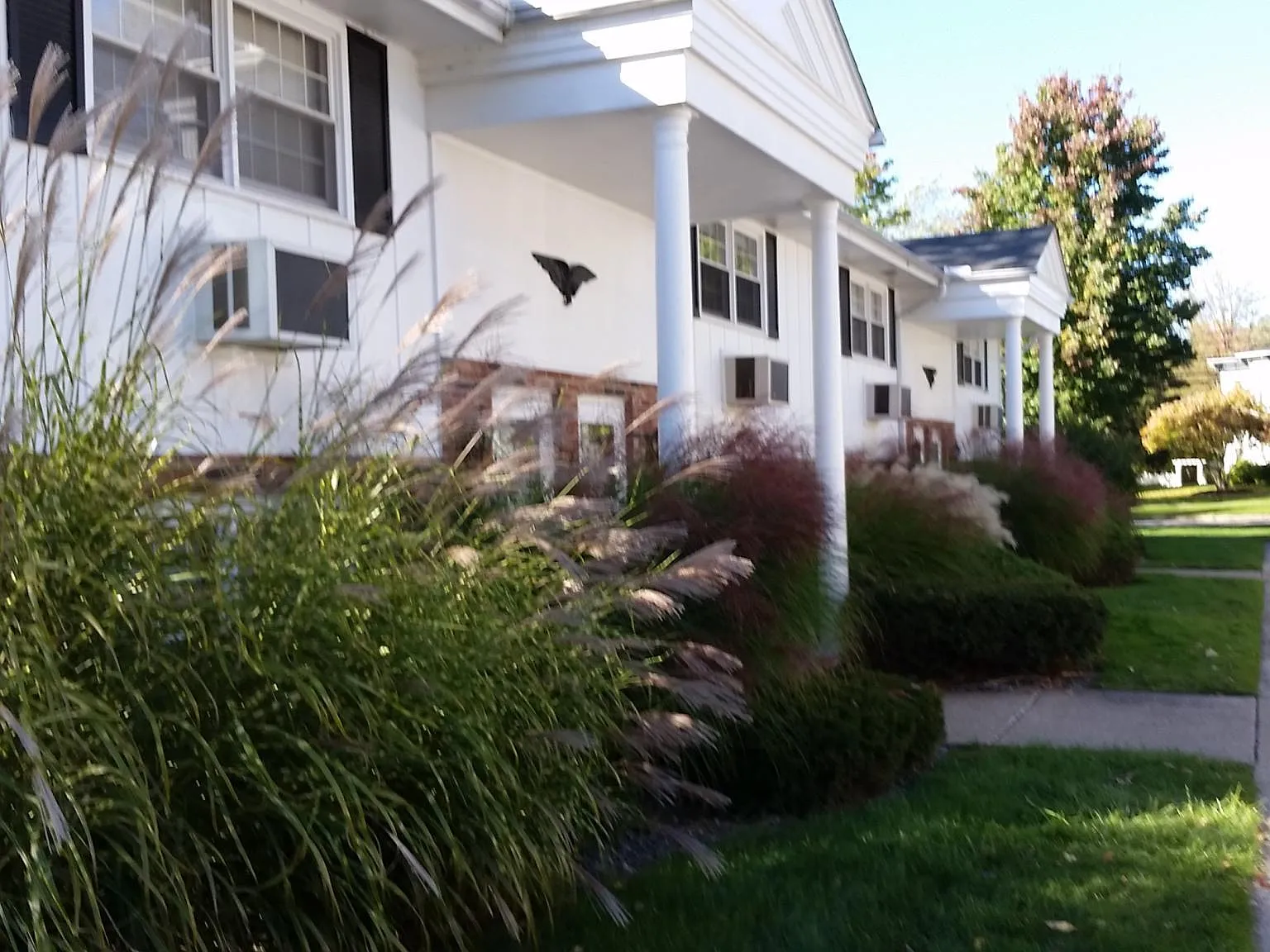2 bed, 825 sqft, $970 — Photo 2