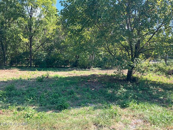 3rd image of TRACT 1 Ousley Gap Rd