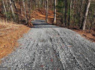 1 Lower Tails Creek Rd, Ellijay, GA 30540