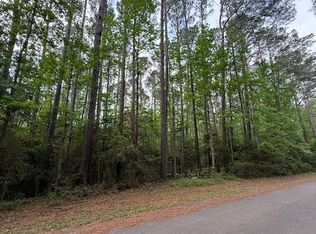 LOT 531 Starfish Dr, Hemphill, TX 75948