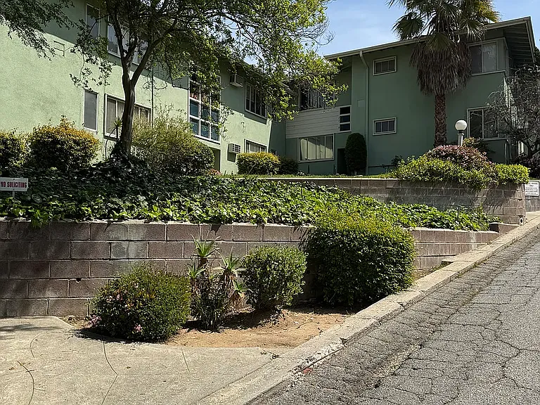 Verdugo Verde — Photo 8