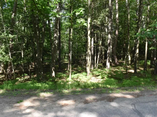 LOT 196 Princess Way, Gladwin, MI 48624