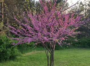 8590 Homestead Rd, Benzonia, MI 49616