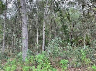 6623 W Erlen Ln, Homosassa, FL 34446