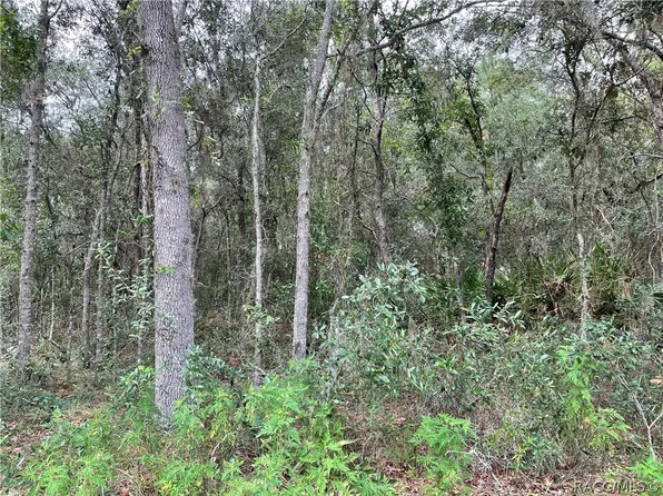 6623 W Erlen Ln, Homosassa, FL 34446