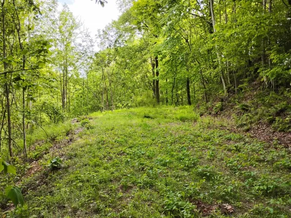 0 Highland Gap, Scaly Mountain, NC 28775