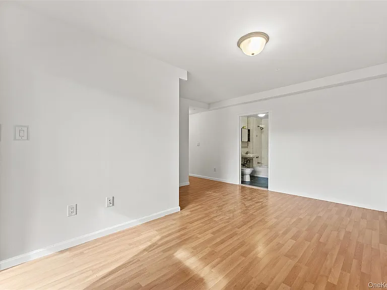 71-33 162nd St #3F — Photo 13