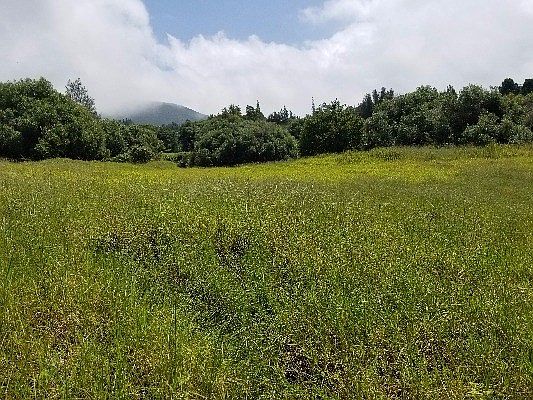 5th image of LOT 22 Lot 22
