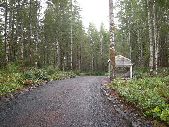 tree lined circular drive