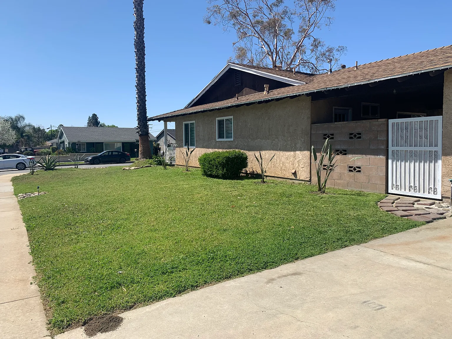 3 bed, 1256 sqft, $3,250 — Photo 3