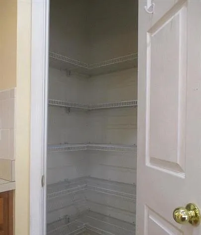 Great Kitchen Pantry!