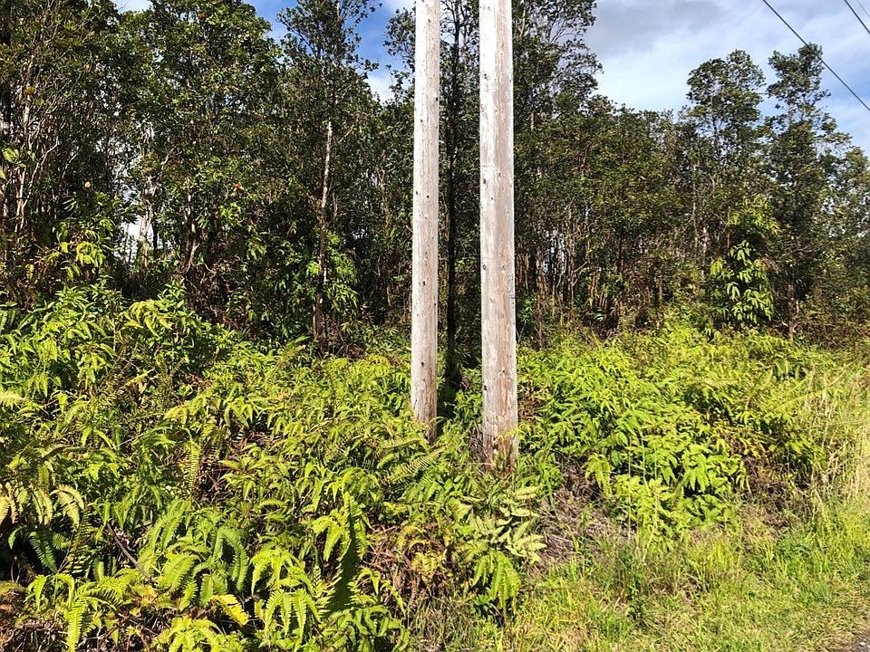 2nd image of Omeka Rd Lot 66