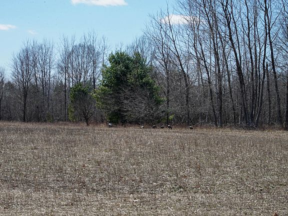 5th image of 5840 Wildwood Rd