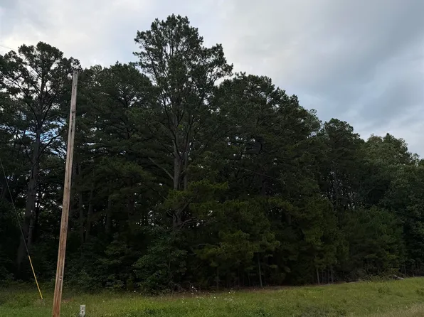 1720 Mountain View Rd, Locust Grove, AR 72550