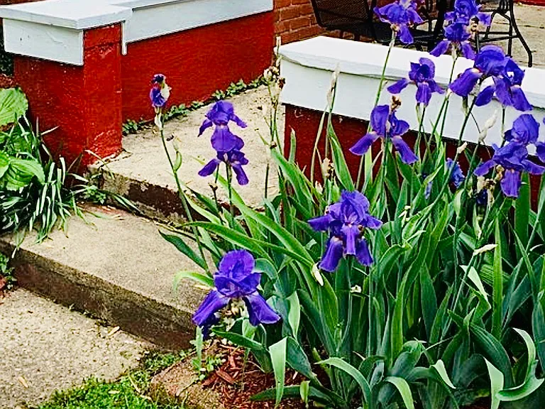 Patio entrance 3 of 3