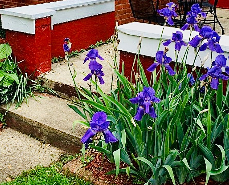 Patio entrance 3 of 3