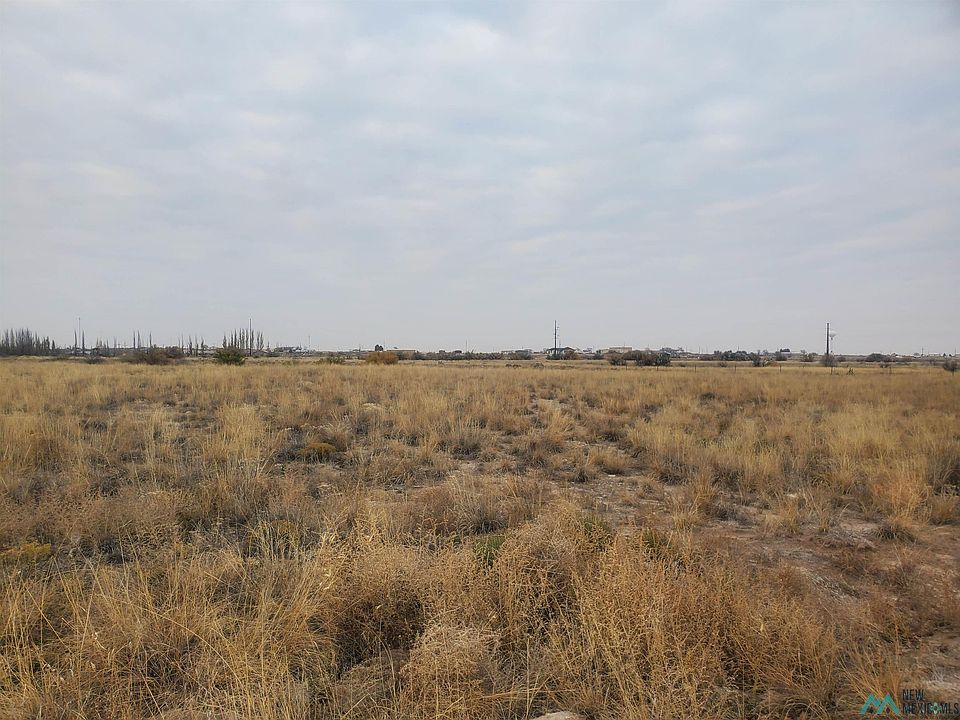 2nd image of Pampas Ave