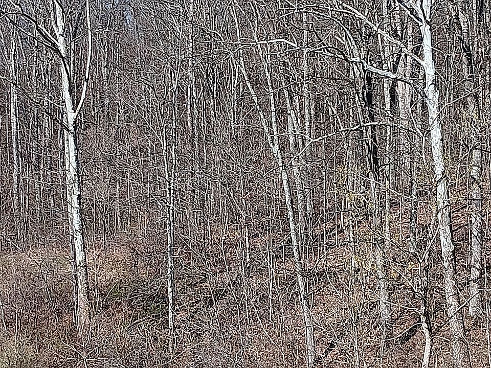 2nd image of Setty Rd