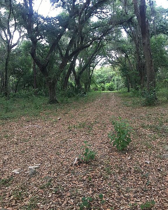 2nd image of 0 E Gaskins Rd
