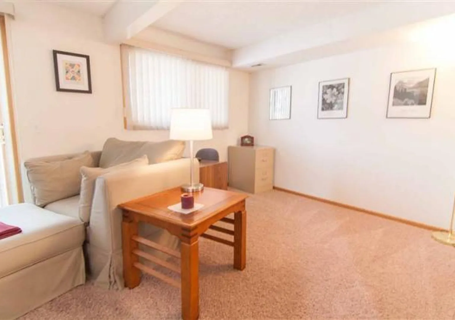 Checkout This 2bed 2bath Townhome in Bloomington! — Photo 4