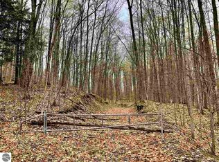Shanty Creek Rd, Bellaire, MI 49615
