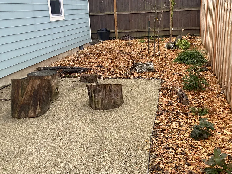 Private yard with native plants and trees. Tended by yard maintenance.