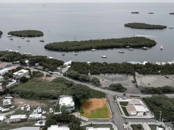 Bo Parguera Sec Puerto Viejo Lote #3, Lajas, PR 00667