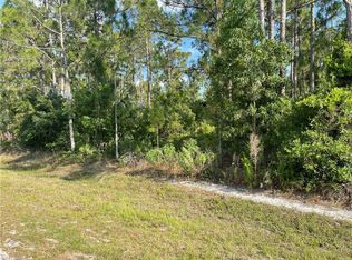 0 29TH Ave Everglades BLVD, NAPLES, FL 34120