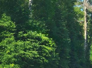 LOT 1B Highway 9 E, Clio, SC 29525