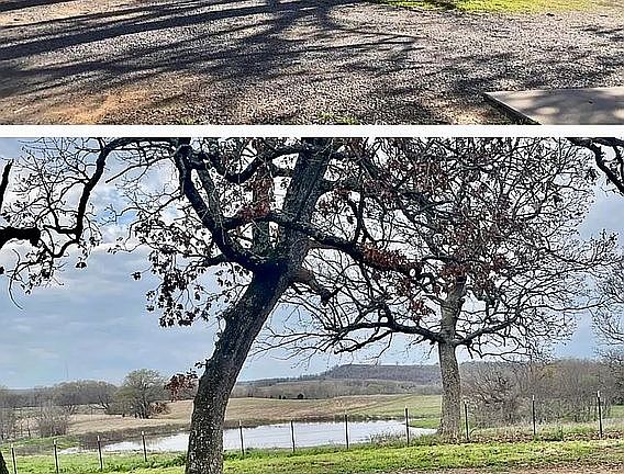 Circle drive and pond