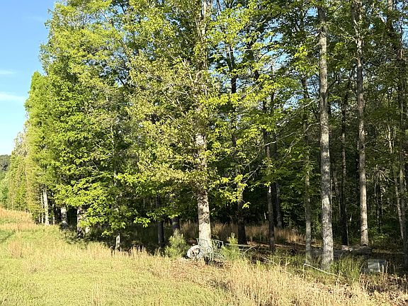 2nd image of 675 Lee Mason Rd