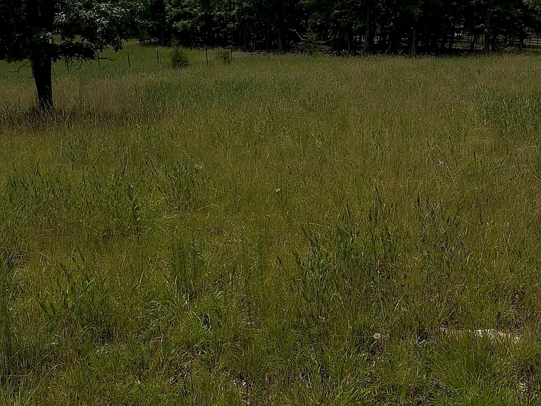 Leafwood Dr — Photo 5