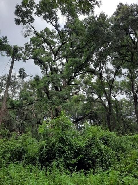 2nd image of 0 SE 147th Ln