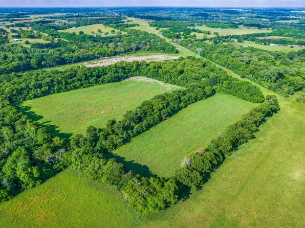 0 Gray Bottom Rd, Whitewright, TX 75491