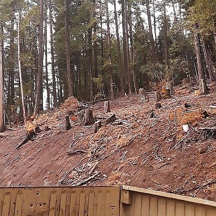 5th image of 2480 Sugar Pine Trl