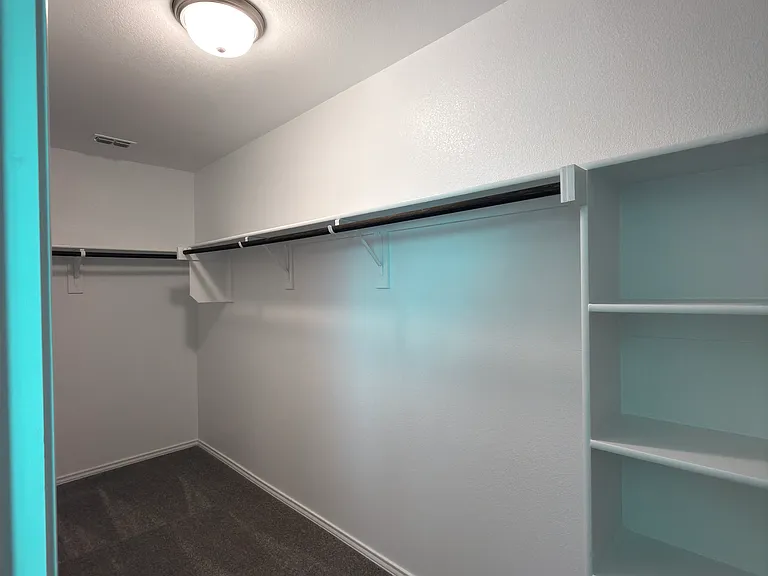 Master walk in closet