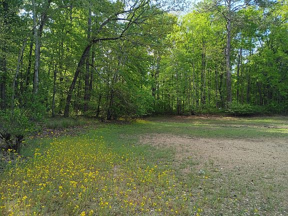 3rd image of County Road 219