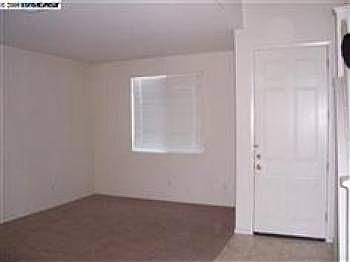 5th image of 6110 Fred Russo Dr