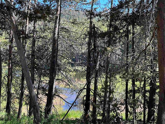 4th image of 50486 Conifer Dr