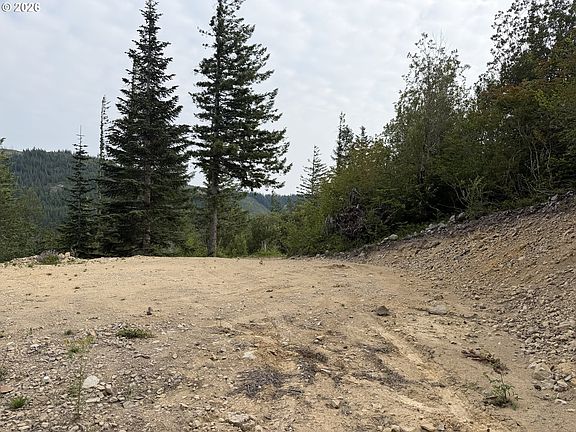 2nd image of 0 Snag Mountain Rd #112