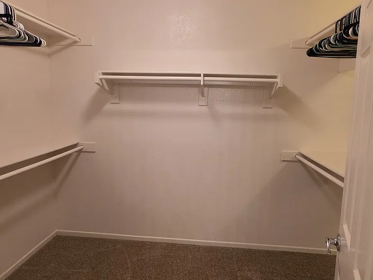 26232 Palm Tree Ln — Photo 18