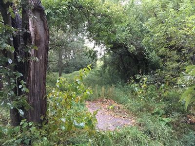 N2729 Hardscrabble Rd Lot 1, Palmyra, WI, 53156