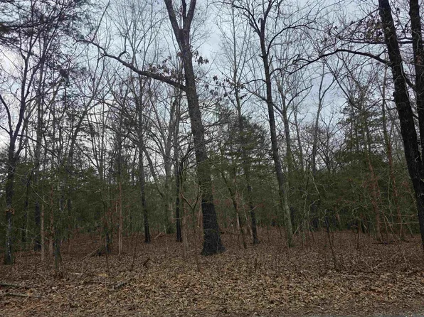 L19-B6 Big Horn Dr, Cherokee Village, AR 72529