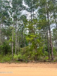 0 Fawnridge Dr, Chipley, FL, 32428