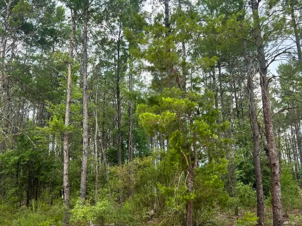 0 Fawnridge Dr, Chipley, FL 32428