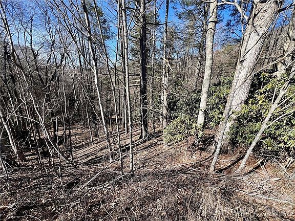 3rd image of N/a 321 Hwy N