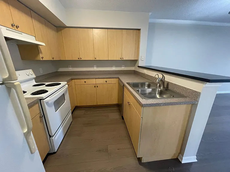 8617 River Homes Ln #3203 — Photo 8