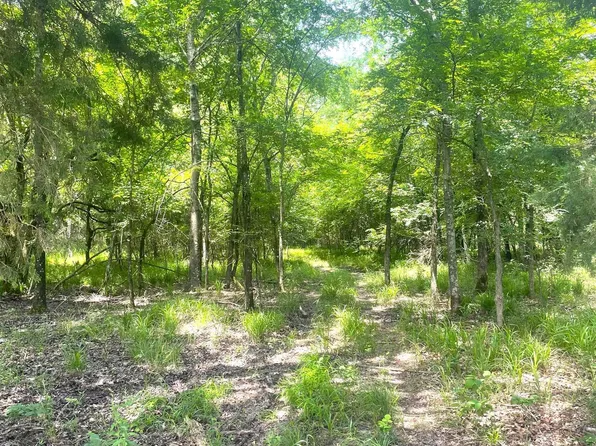 County Road 4220, Annona, TX 75550